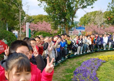 童行觅春色 实践润童心——澄湖实验小学四年级春日社会实践活动纪实