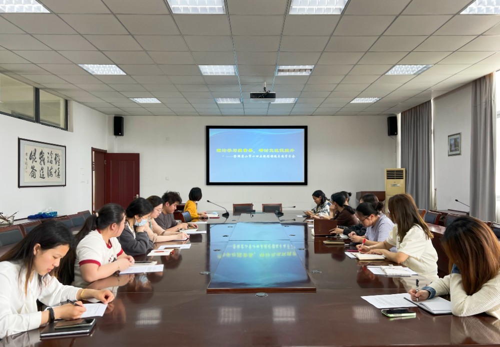 理论学习提素养，研讨交流促提升